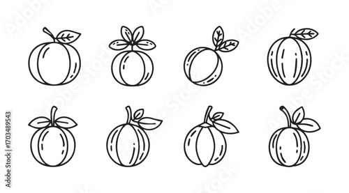 Collection of hand drawn outline fruit silhouettes with leaves silhouette