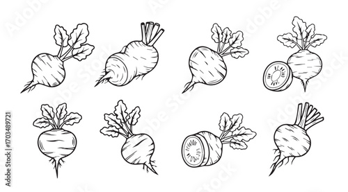 Collection of hand drawn beetroot vegetables with leaves in a sketchy silhouette style