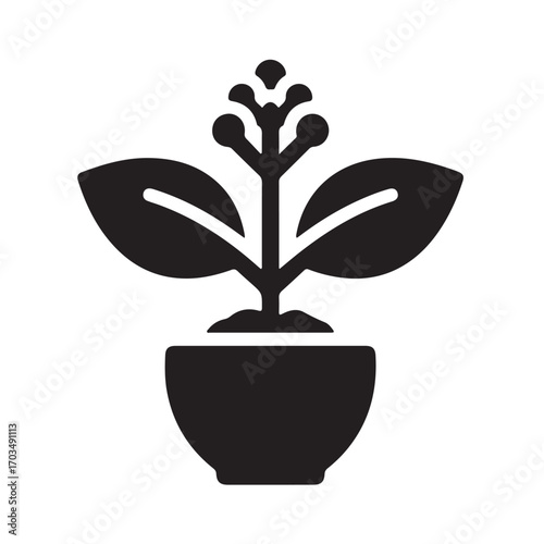 Minimalist Graphic of a Potted Plant with Developing Flowers