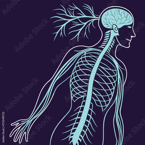 A Conceptual Look at Neural Connections, Neuroscience and the Human Body, The Root System of the Human Brain, The Intricate Human Nervous System