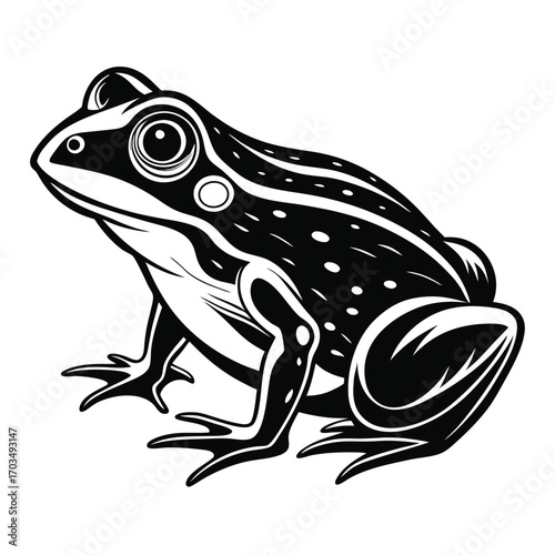 Stylized Monochrome Frog Illustration Featuring Detailed Eye and Skin Markings Set Against a Clean White Background for Versatile Use