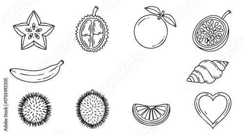 Collection of hand drawn fruit silhouettes and shapes silhouette