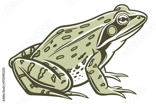 Vintage Illustration of a Green and Brown Frog, Sitting in Profile, with Bold Outlines and Neutral Tones