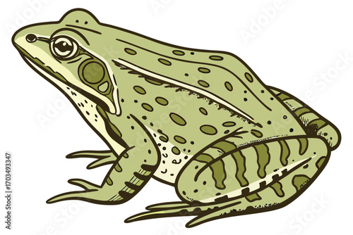 Cartoonish Green Frog with Olive Green Spots Sitting Still Calmly Detailed Artistic Rendering Vector Art for Children
