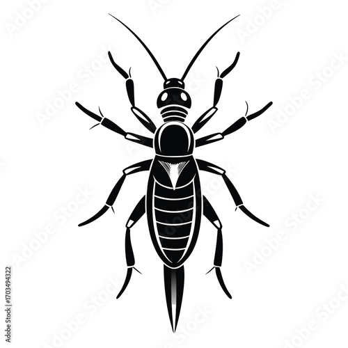 Monochrome Vector Image of an Earwig with Elongated Body, Prominent Cerci, and Many Legs, Displaying Anatomical Details in a Stylized Manner
