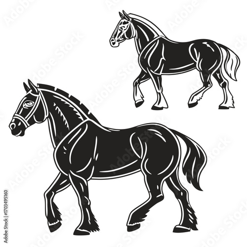 Elegant Black and White Horses in Motion Bold Equestrian Art Depicting Graceful Stallions Walking with Confidence and Strength Captured in Striking Visual Style