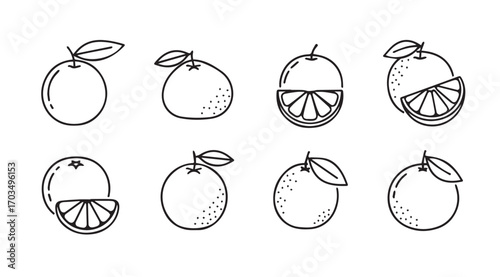 Collection of hand drawn orange fruit silhouettes with leaves and slices