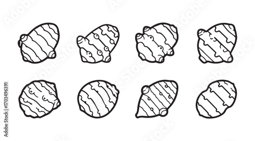 Collection of eight hand drawn ginger root silhouettes with textured lines