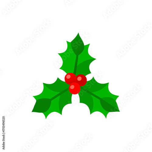 Illustration of holly with berries image on transparent background