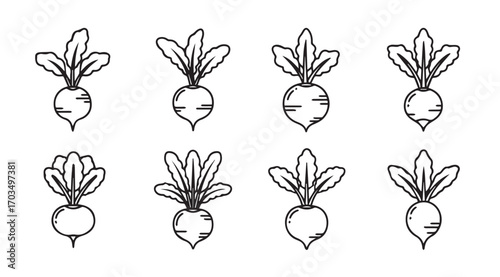 Collection of eight hand drawn radish vegetables in a simple outline silhouette style