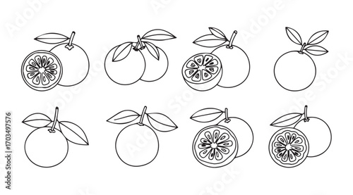Hand drawn sketch of passion fruit varieties and slices in silhouette