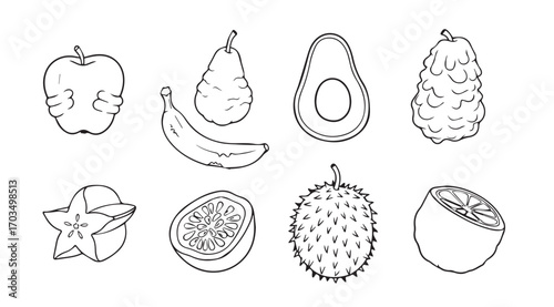 Collection of exotic and common fruits drawn in a distinctive silhouette style