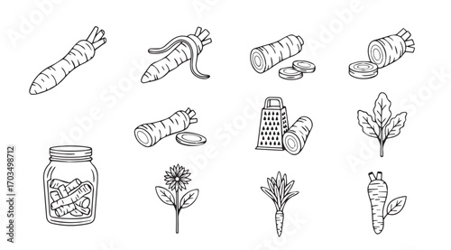 Collection of hand drawn root vegetables and herbs in a sketchy silhouette style