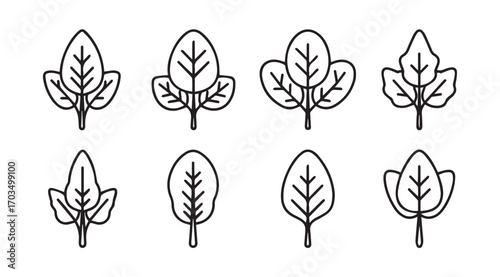 Collection of eight stylized spinach leaf outlines in a simple silhouette style