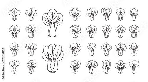 Collection of hand drawn broccoli florets and stems in a silhouette style