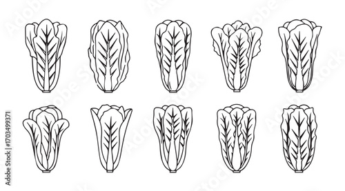 Collection of ten stylized floral bud silhouettes in black and white