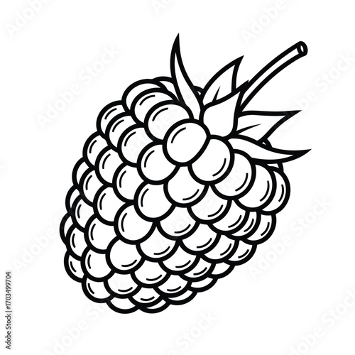 Black and white outline drawing of a single raspberry with stem and leaves fruit