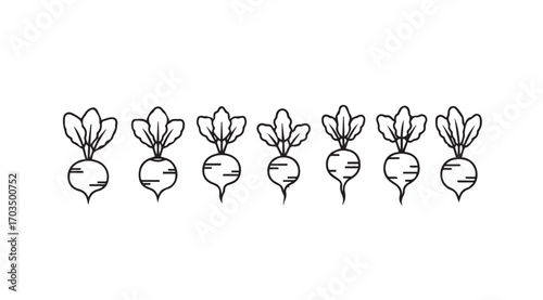 A row of simple line art radishes in a charming silhouette style