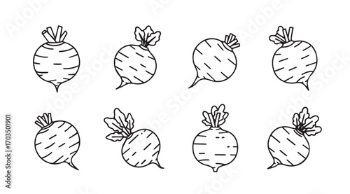Collection of hand drawn radish vegetables in a simple outline silhouette style