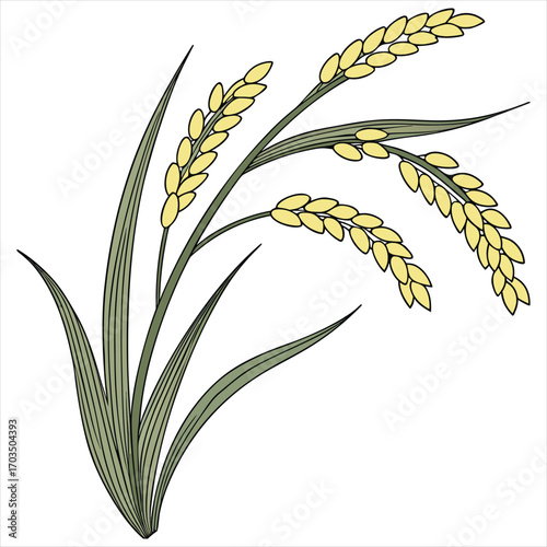 Rice tree vector, Rice tree  design, Rice tree concept, Rice tree post, Rice tree cartoon, Rice tree icon, Rice tree template, Rice tree art, Rice tree topics, Rice tree doodle