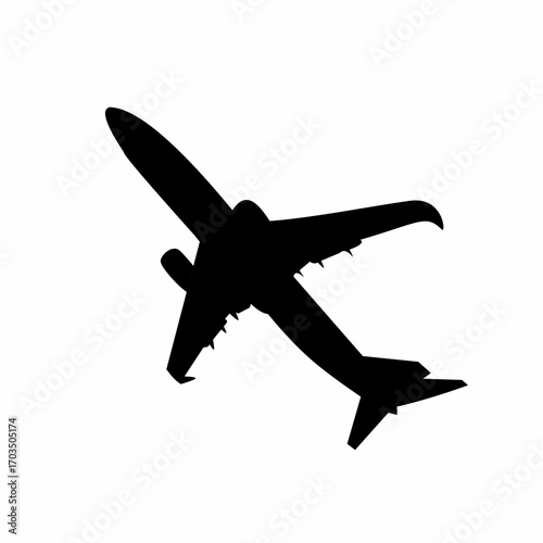 airplane silhouette vector. the plane goes up