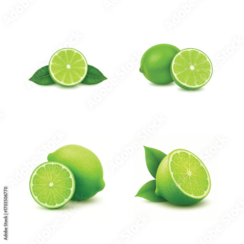 Fresh Lime Half with Leaves – Realistic Citrus Illustration
