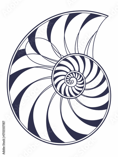 Minimilist illustration of a nautilus shell with a spiral pattern and alternating dark and light segments design art vector