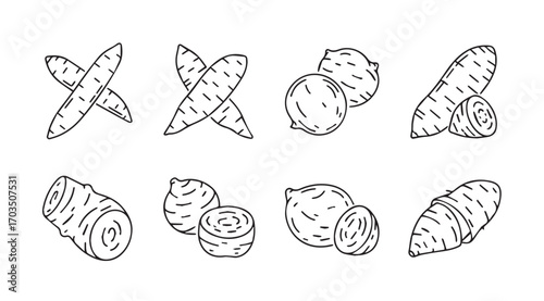 Collection of hand drawn root vegetables and slices in a distinctive silhouette style