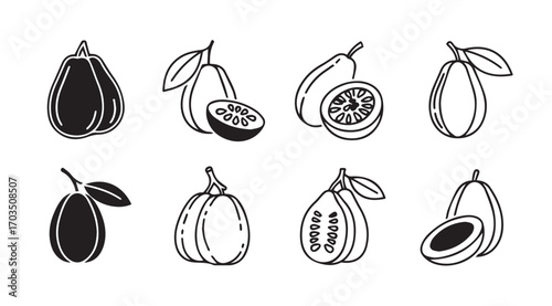 Collection of hand drawn tropical fruits in a sketchy silhouette style