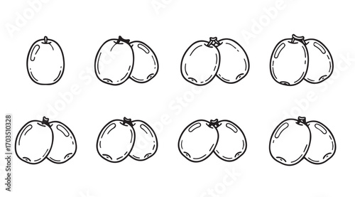 Collection of hand drawn fruit silhouettes showing different stages of ripeness silhouette