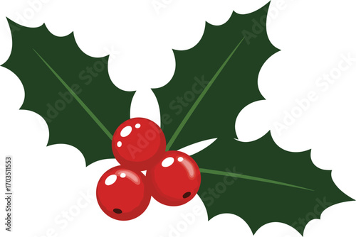 Vibrant holly berry sprig festive winter holiday decoration symbol isolated graphic vector