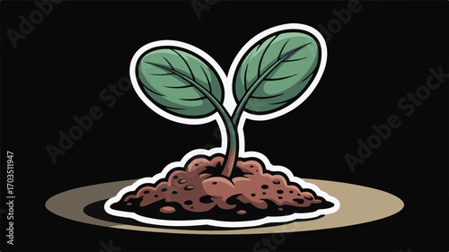 Young Plant Sprouting from Soil with White Outline on Black Background seedling growth