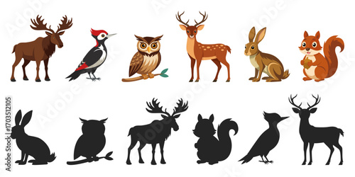 Wild forest animals with silhouettes. Vector illustration of woodland creatures with black shadow shapes isolated on white background. Find the correct shade.