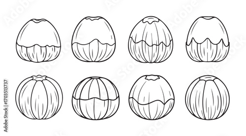 Collection of hand drawn almond nut silhouettes with detailed texture and outline