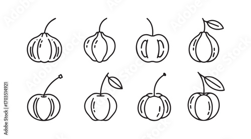 Collection of hand drawn fruit silhouettes with stems and leaves
