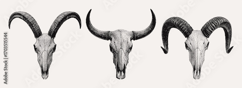 Brutal pixel style animal skull set with horns. A goat, bull, and ram. Perfect for retro project, digital collage, gothic, western, or occult designs.