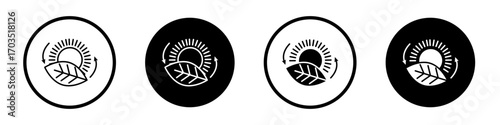 Photosynthesis icons pack in black and white versions for web.