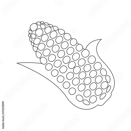 Outline of a corn cob with kernels isolated on white background