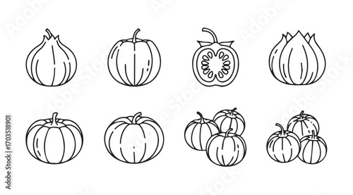 Collection of hand drawn vegetable silhouettes including pumpkins onions and tomatoes silhouette