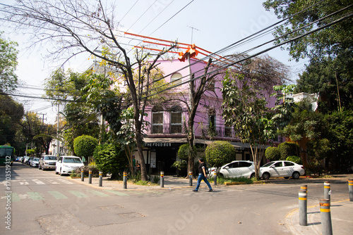 Mexico City, Mexico; November 1, 2025: Colonia la Roma neighborhood in Mexico City.