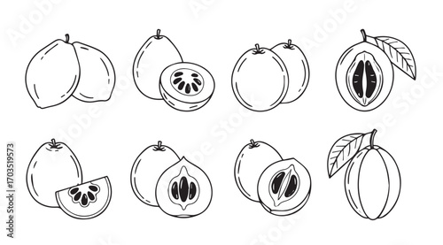 Collection of hand drawn tropical fruits in a distinctive silhouette style