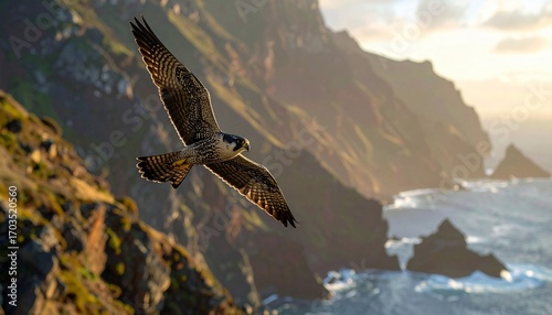 Majestic Peregrine Falcon Soaring Over Dramatic Coastline