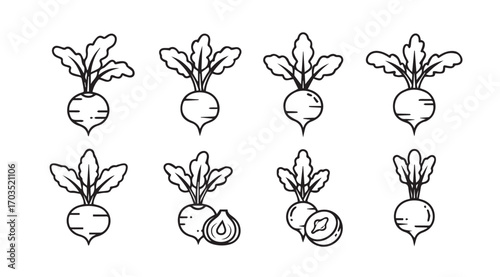 Collection of hand drawn radish vegetables in a simple silhouette style