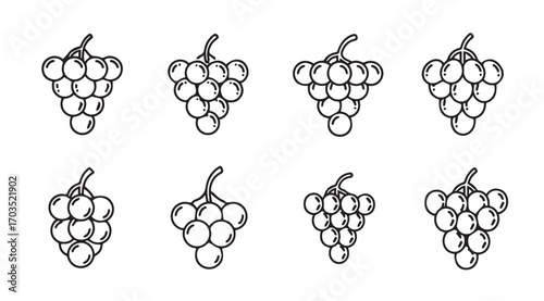 Collection of hand drawn grape bunches silhouette