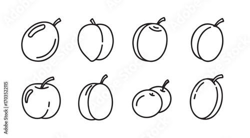 Collection of hand drawn plums and apricots in a simple silhouette style