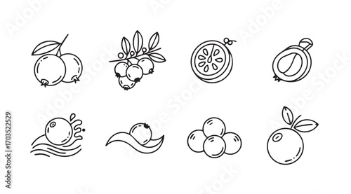Collection of hand drawn fruit and berry silhouettes in outline style