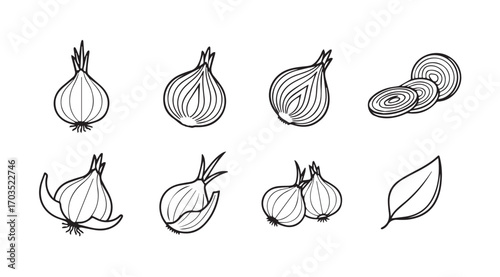 Hand drawn sketch of various onion varieties and slices silhouette