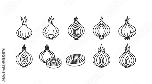 Collection of hand drawn onion silhouettes in various poses and styles silhouette