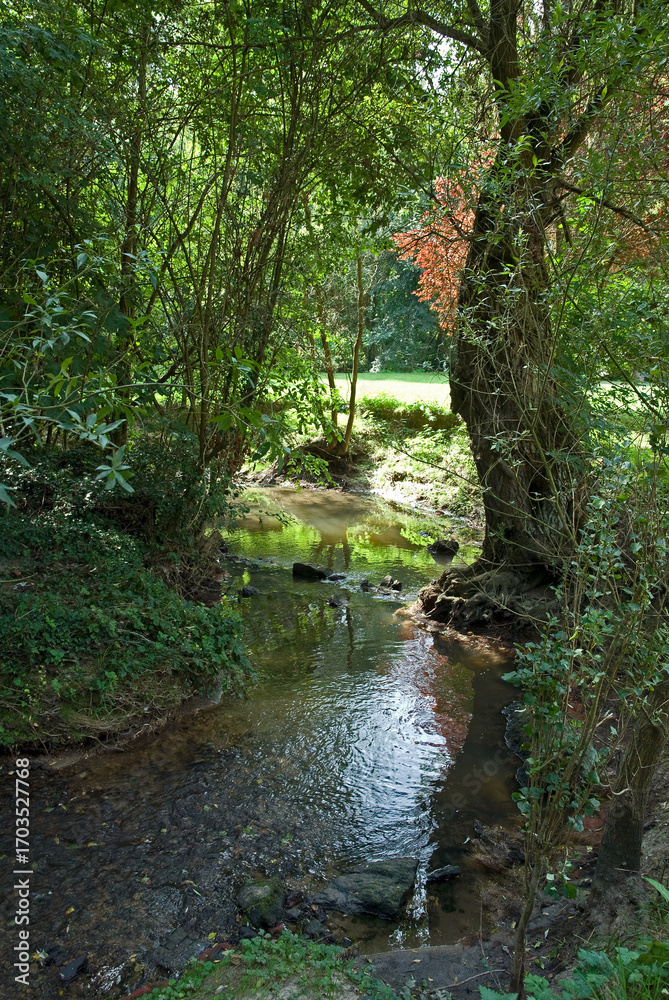 Obraz premium Rivière Morbras, Parc départemental du Morbras, Sucy en Brie, 94, Val de Marne, France