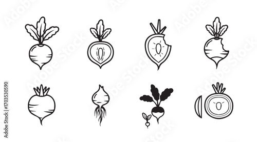Collection of hand drawn beetroot and radish vegetable silhouettes